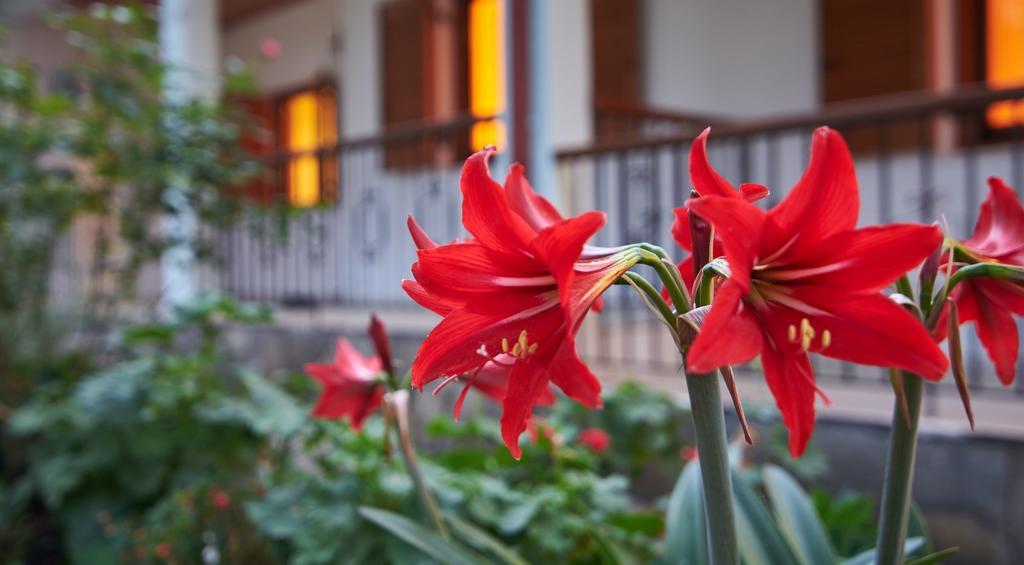 Apartament House Rena Vourvourou Zewnętrze zdjęcie